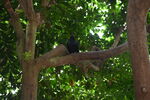 DSC_9077.JPG
